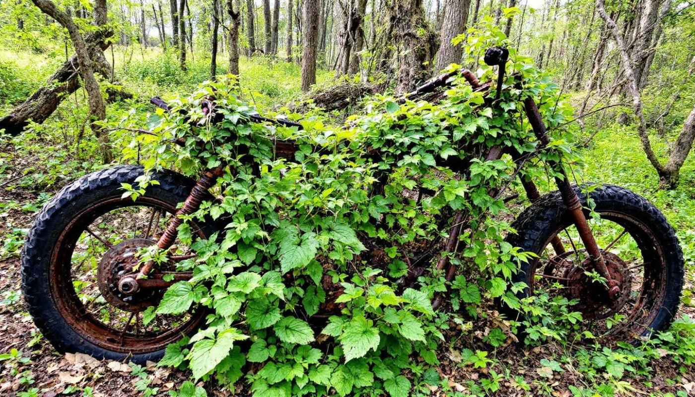Les bénéfices écologiques de la gestion responsable des épaves de motos